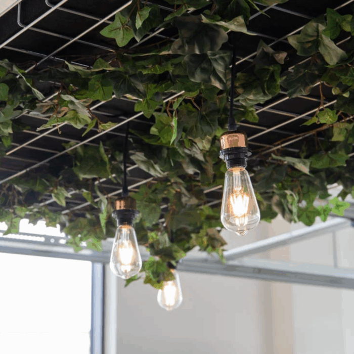 GOTESSONS Collection OFF THE GRID – Image 4